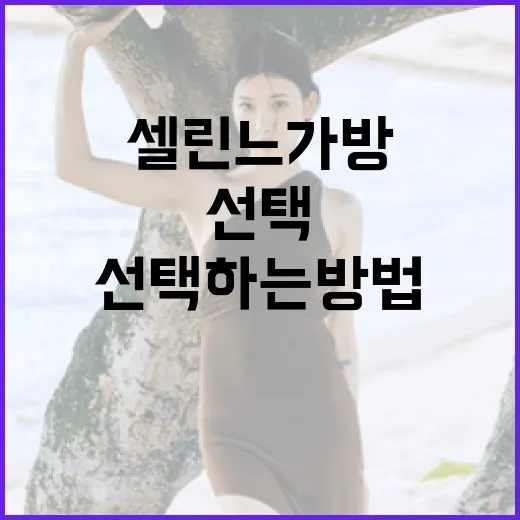 셀린느 가방을 제대로 선택하는 방법 - 요약