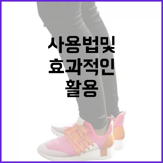 리투오를 활용하는 방법: 효과적인 사용법 및 팁 - 요약