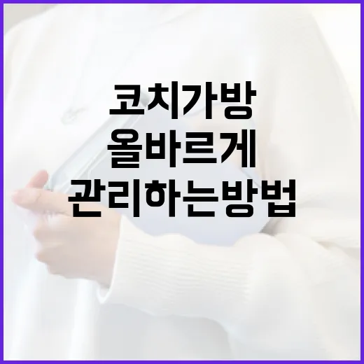 코치 가방을 올바르게 선택하고 관리하는 방법 - 요약