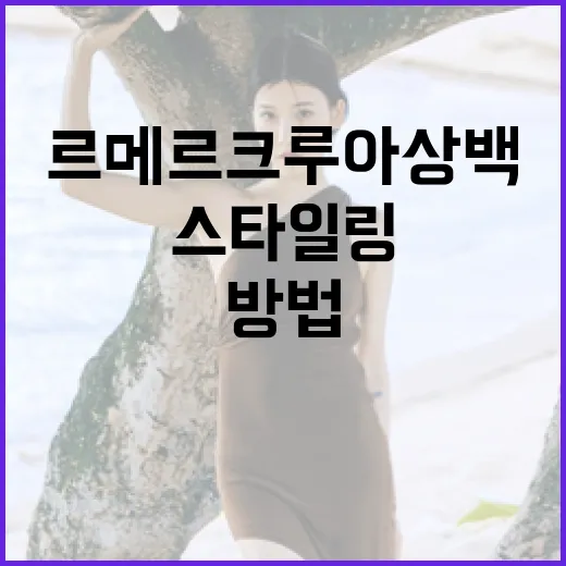 르메르 크루아상백을 스타일링하는 방법 - 요약