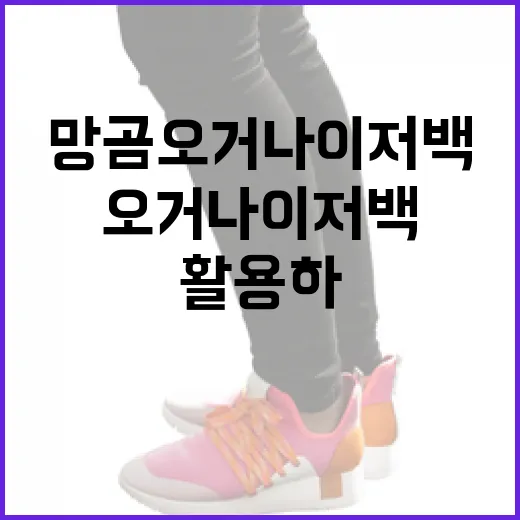 망곰 오거나이저백을 활용하는 방법 - 요약