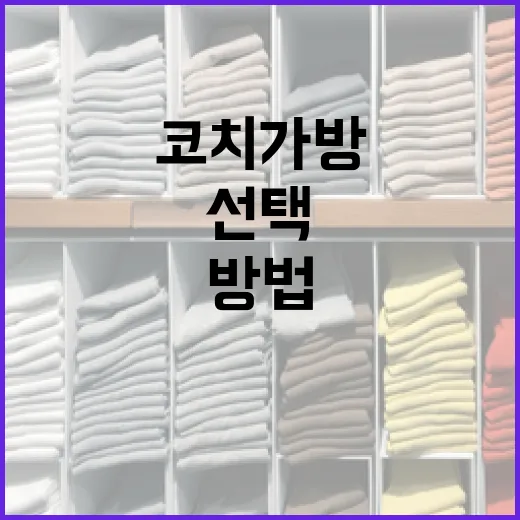 코치 가방을 선택하고 관리하는 방법 - 요약