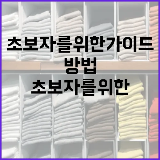 르플레인을 경험하는 방법: 초보자를 위한 가이드 - 요약