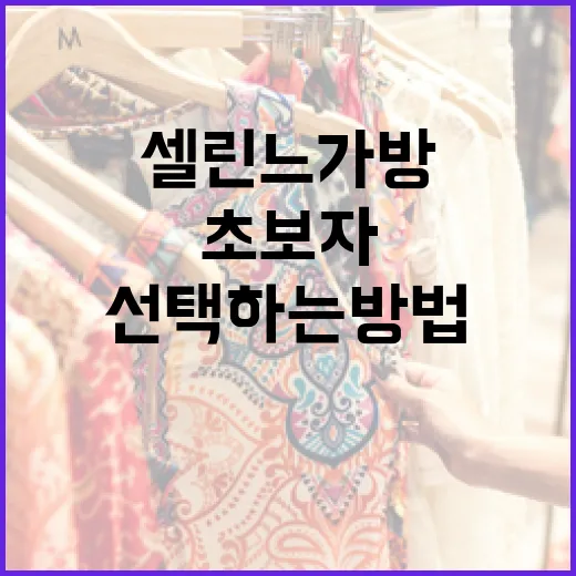 셀린느 가방을 선택하는 방법: 초보자를 위한 가이드 - 요약