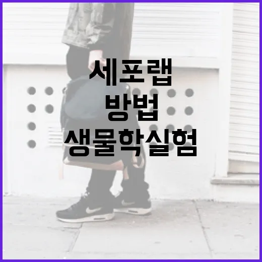 세포랩을 통해 생물학 실험을 시작하는 방법 - 요약