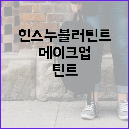 힌스 누블러틴트를 활용한 자연스러운 메이크업 연출 방법 - 요약