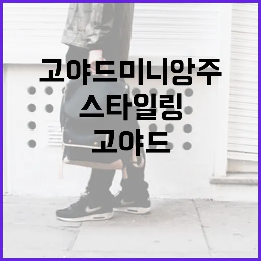 고야드 미니앙주 스타일링하는 방법 - 요약