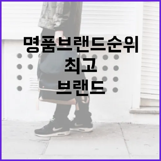 최고의 명품 브랜드 순위를 알아보는 방법 - 요약