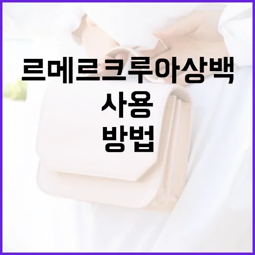 르메르 크루아상백을 스타일리시하게 사용하는 방법 - 요약