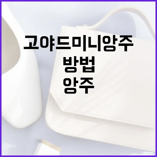 고야드 미니앙주를 스타일리시하게 활용하는 방법 - 요약