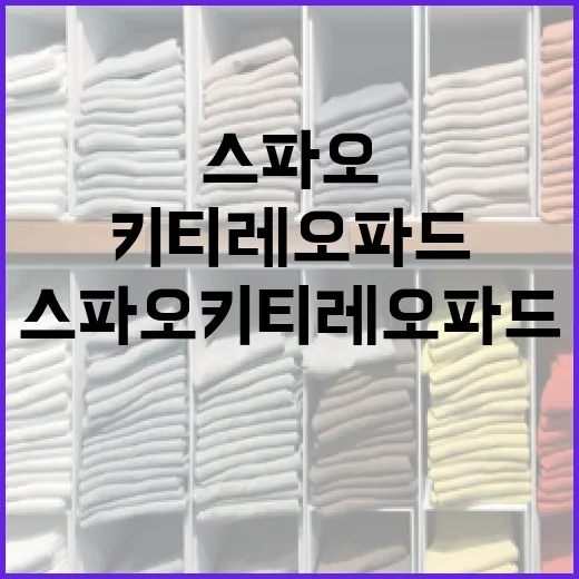 스파오 키티 레오파드 스타일링하는 방법 - 요약