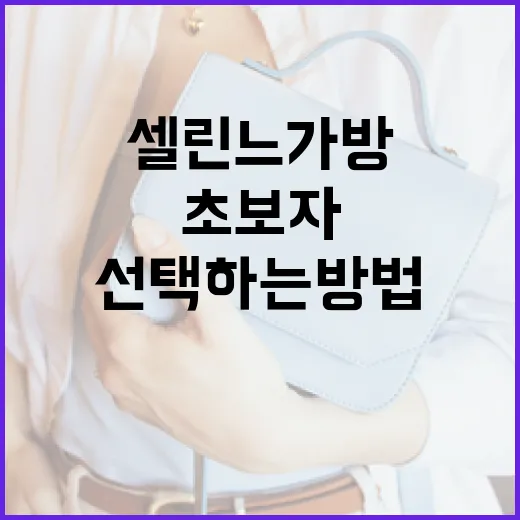 셀린느 가방 선택하는 방법: 초보자를 위한 가이드 - 요약