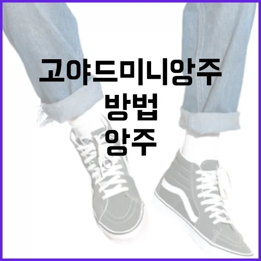 고야드 미니앙주를 스타일리시하게 활용하는 방법 - 요약