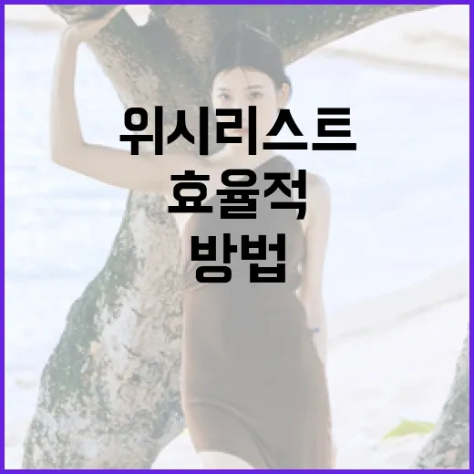 위시리스트를 효율적으로 관리하는 방법 - 요약