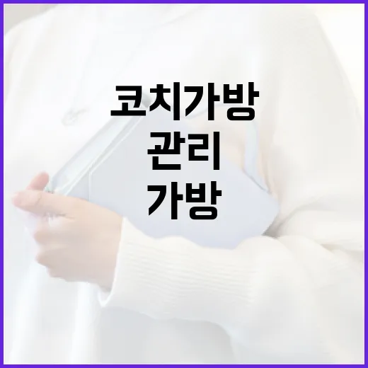 코치 가방을 오래 사용하려면 이렇게 관리하세요 - 요약