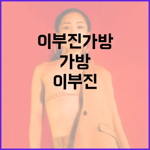 이부진 가방 스타일링하는 방법 - 요약