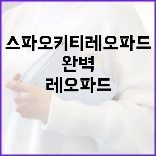 스파오 키티 레오파드 스타일링을 완벽하게 소화하는 방법 - 요약