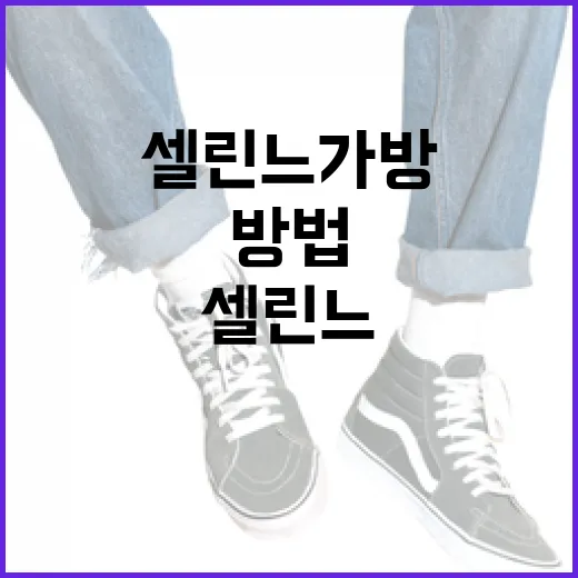 셀린느 가방을 선택하는 방법 - 요약