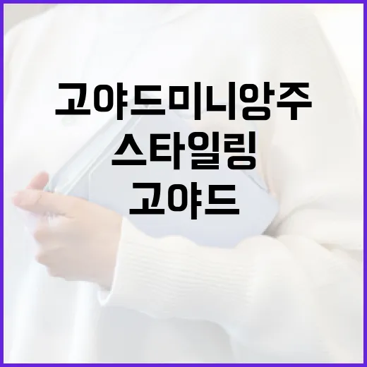 고야드 미니앙주 스타일링하는 방법 - 요약
