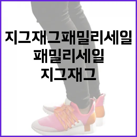 지그재그 패밀리세일을 알차게 즐기는 방법 - 요약