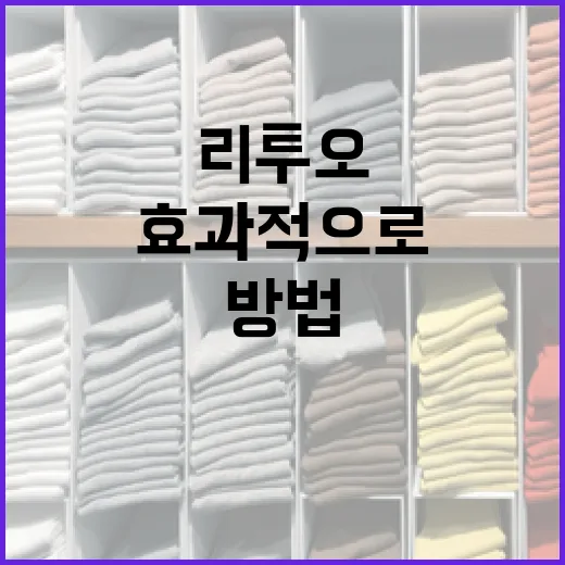 리투오를 효과적으로 사용하는 방법 - 요약