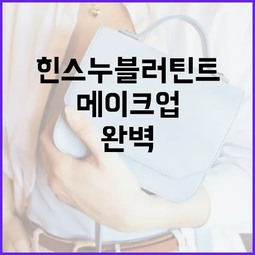 힌스 누블러틴트로 완벽한 자연 메이크업 연출하는 방법 - 요약