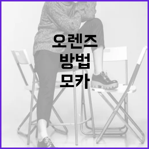 오렌즈 레인모카를 제대로 즐기는 방법 - 요약