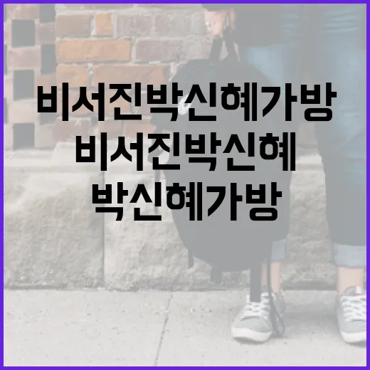 비서진 박신혜 가방 트렌드를 따라잡는 방법 - 요약