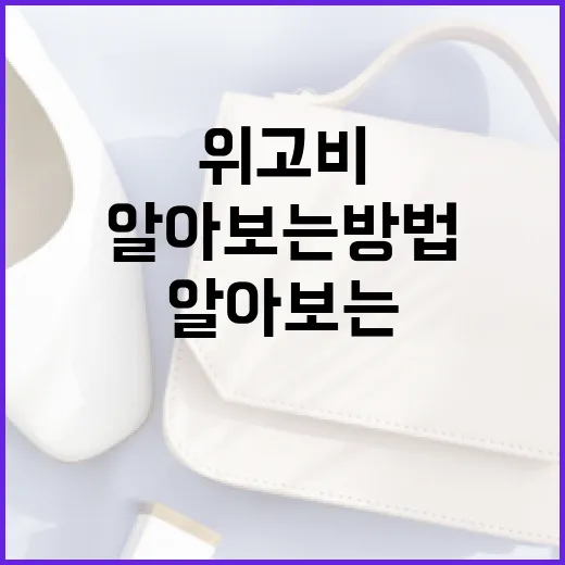 위고비 가격에 대해 알아보는 방법 - 요약