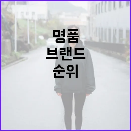 명품 브랜드 순위를 이해하는 방법 - 요약
