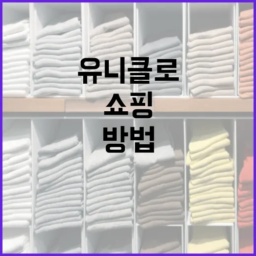 유니클로에서 스마트하게 쇼핑하는 방법 - 요약