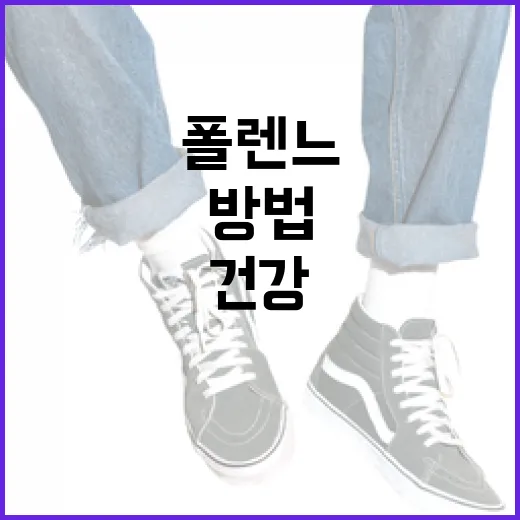 폴렌느를 활용하는 방법: 건강과 미용을 위한 최고의 팁 - 요약