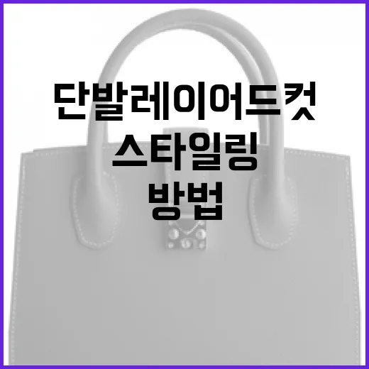 단발 레이어드컷으로 스타일링하는 방법 - 요약