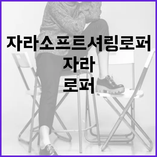 자라 소프트 셔링 로퍼 스타일링하는 방법 - 요약