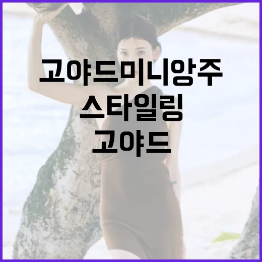 고야드 미니앙주 스타일링하는 방법 - 요약