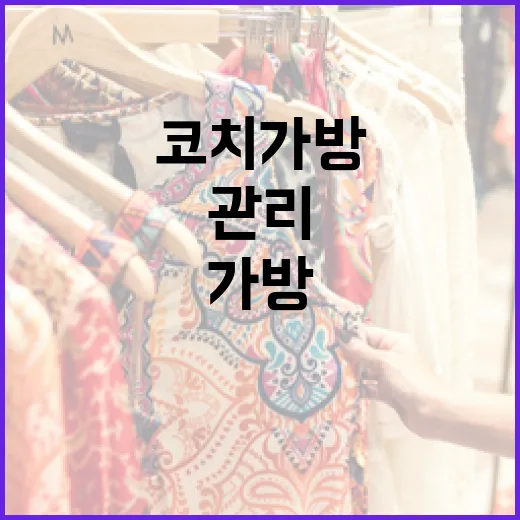 코치 가방을 오래 사용하려면 이렇게 관리하세요 - 요약