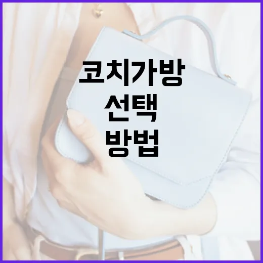 코치 가방을 선택하고 관리하는 방법 - 요약