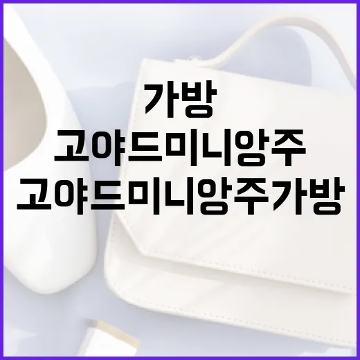 고야드 미니앙주 가방을 스타일링하는 방법 - 요약