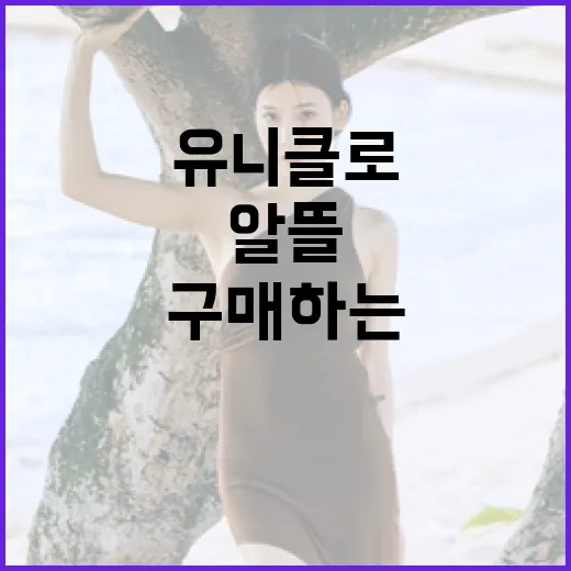 유니클로에서 알뜰 구매하는 방법 - 요약