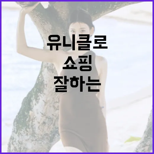 유니클로에서 쇼핑을 잘하는 방법 - 요약
