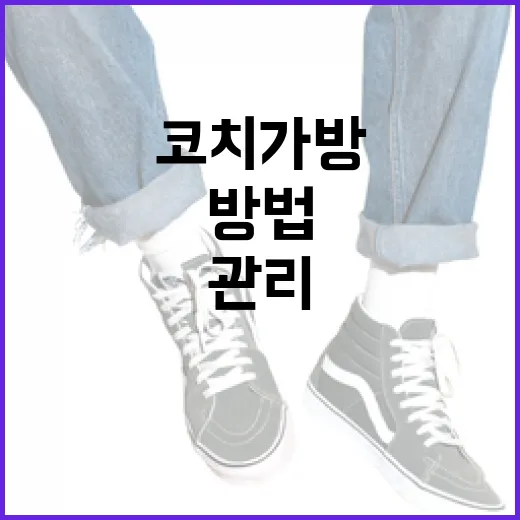 코치 가방을 구매하고 관리하는 방법 - 요약