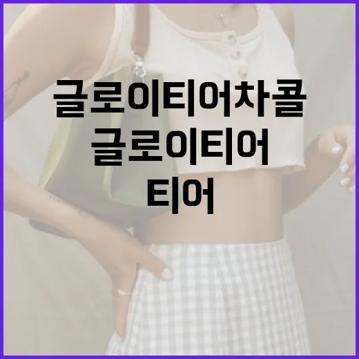 글로이티어 차콜을 활용해 피부를 맑게 유지하는 방법 - 요약