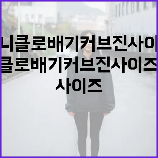 유니클로 배기커브진 사이즈 선택하는 방법 - 요약