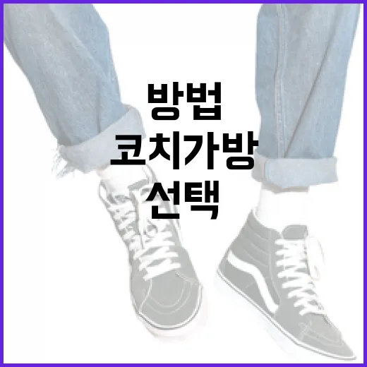 코치 가방을 제대로 선택하고 관리하는 방법 - 요약