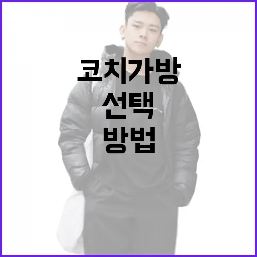 코치 가방을 선택하고 관리하는 방법 - 요약