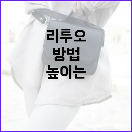 리투오를 활용하여 생산성을 높이는 방법 - 요약