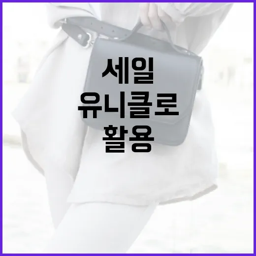 유니클로 세일을 최대한 활용하는 방법 - 요약