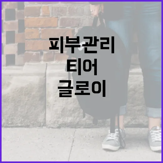 글로이티어 차콜 마스크를 활용하여 피부 관리하는 방법 - 요약