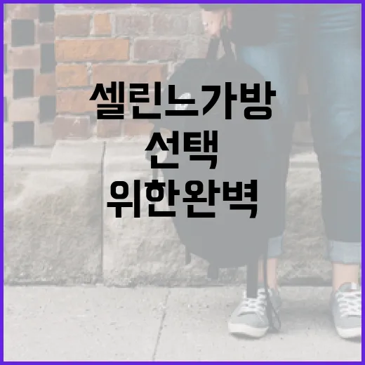 셀린느 가방 구매 가이드: 초보자를 위한 완벽한 선택 방법 - 요약