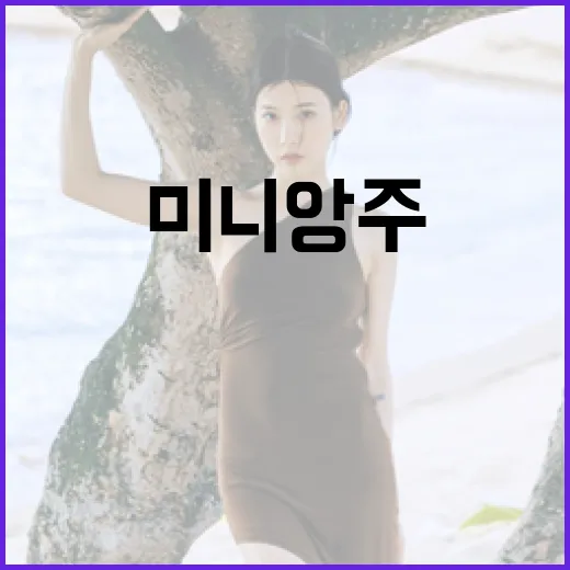 고야드 미니앙주 구매 전 알아야 할 모든 것 - 요약